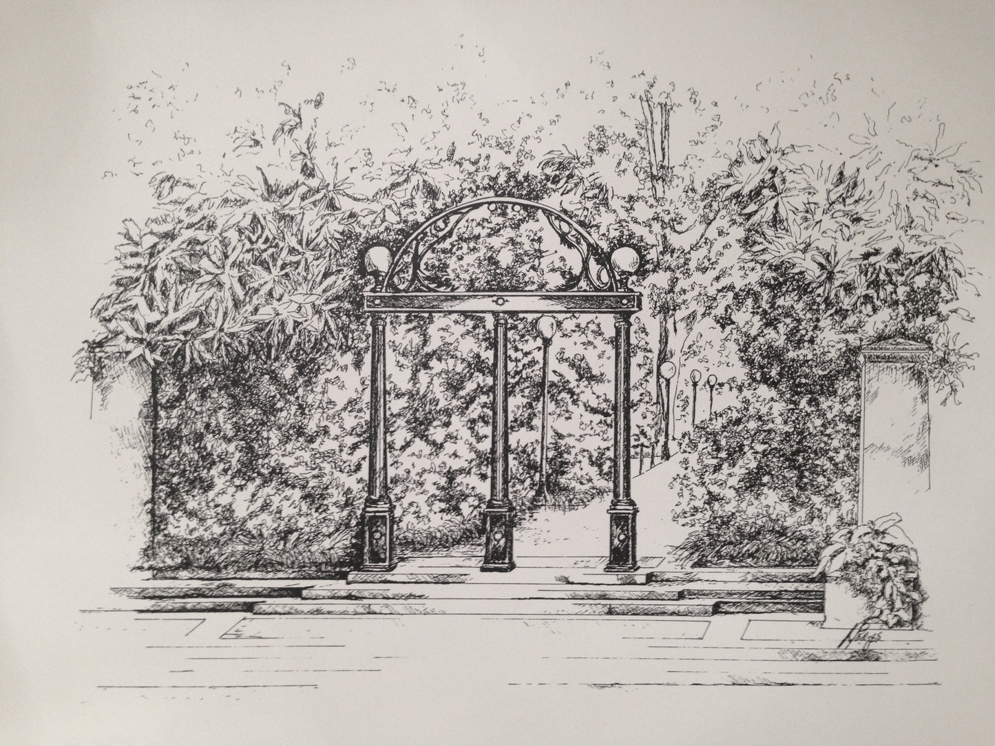 The Arch