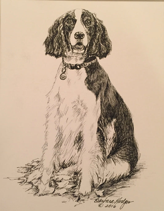 Chattanooga Brittany Spaniel