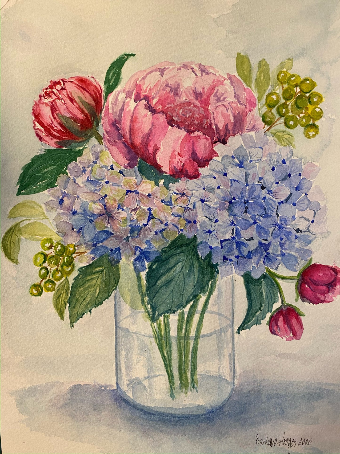 Hydrangea 1