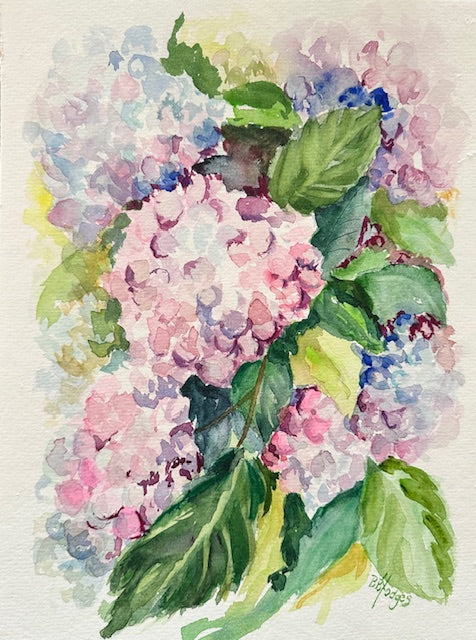 Summer Surprise